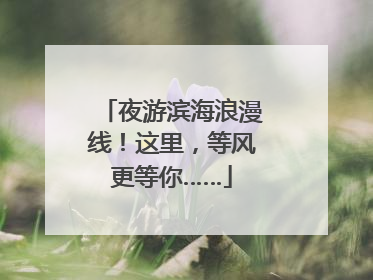 夜游滨海浪漫线！这里，等风更等你……
