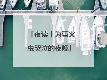 夜读丨为萤火虫哭泣的夜晚