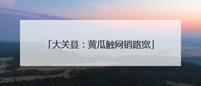大关县：黄瓜触网销路宽