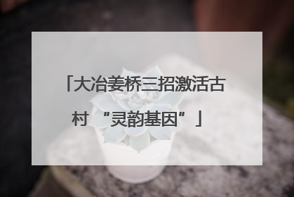 大冶姜桥三招激活古村 “灵韵基因”
