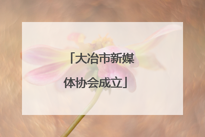 大冶市新媒体协会成立