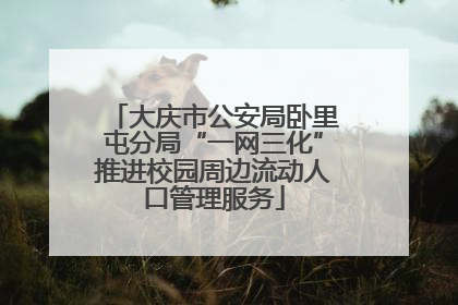 大庆市公安局卧里屯分局“一网三化”推进校园周边流动人口管理服务