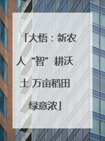 大悟：新农人“智”耕沃土 万亩稻田绿意浓