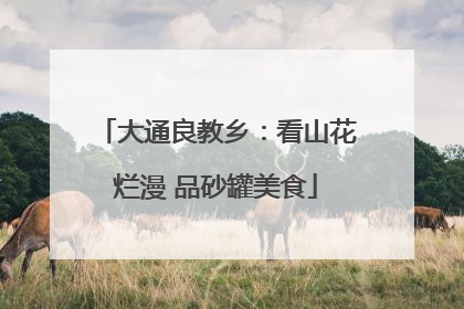 大通良教乡：看山花烂漫 品砂罐美食
