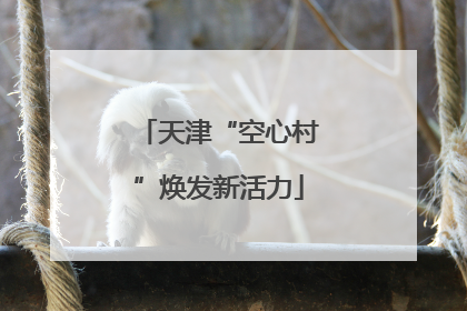 天津“空心村”焕发新活力