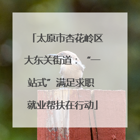 太原市杏花岭区大东关街道：“一站式”满足求职 就业帮扶在行动