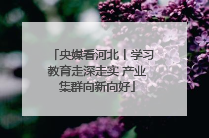 央媒看河北丨学习教育走深走实 产业集群向新向好
