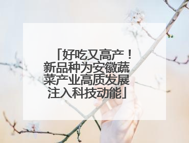 好吃又高产！新品种为安徽蔬菜产业高质发展注入科技动能