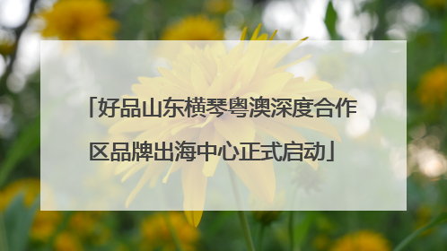 好品山东横琴粤澳深度合作区品牌出海中心正式启动