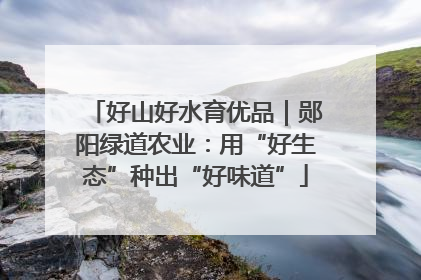 好山好水育优品｜郧阳绿道农业：用“好生态”种出“好味道”