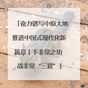 奋力谱写中原大地推进中国式现代化新篇章丨下非常之功 战非常“三夏”