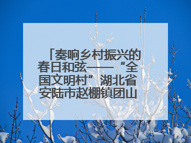 奏响乡村振兴的春日和弦——“全国文明村”湖北省安陆市赵棚镇团山村农文旅融合发展见闻
