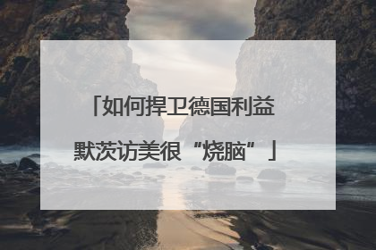 如何捍卫德国利益 默茨访美很“烧脑”