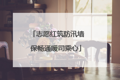 志愿红筑防汛墙 保畅通暖司乘心