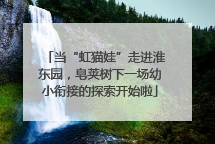 当“虹猫娃”走进淮东园，皂荚树下一场幼小衔接的探索开始啦