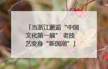 当浙江邂逅“中国文化第一展” 老技艺变身“新国潮”