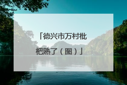 德兴市万村枇杷熟了（图）