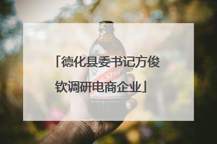 德化县委书记方俊钦调研电商企业