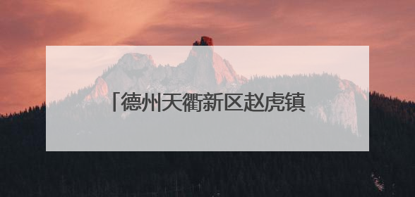 德州天衢新区赵虎镇：抢收抢种同推进，筑牢“三夏”生产防线