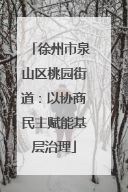 徐州市泉山区桃园街道：以协商民主赋能基层治理