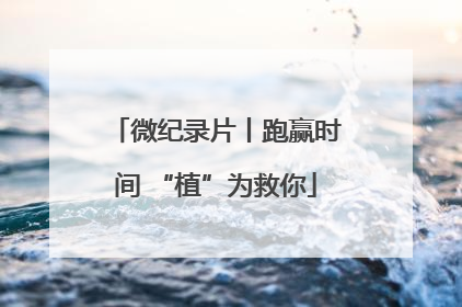 微纪录片丨跑赢时间 “植”为救你