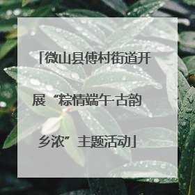微山县傅村街道开展“粽情端午·古韵乡浓”主题活动