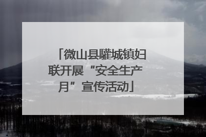 微山县驩城镇妇联开展“安全生产月”宣传活动