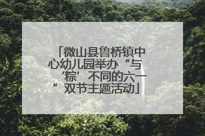 微山县鲁桥镇中心幼儿园举办“与‘粽’不同的六一”双节主题活动