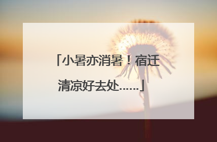 小暑亦消暑！宿迁清凉好去处……
