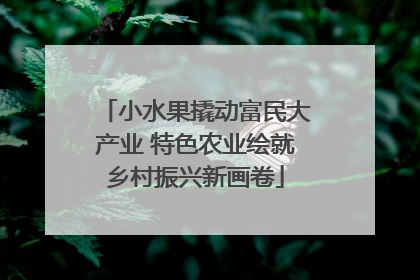 小水果撬动富民大产业 特色农业绘就乡村振兴新画卷