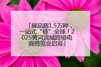 展品超1.5万种，一站式“链”全球！2025黄河流域跨境电商博览会启幕