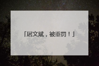 屠文斌，被重罚！