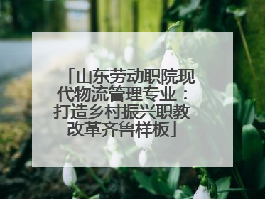 山东劳动职院现代物流管理专业：打造乡村振兴职教改革齐鲁样板