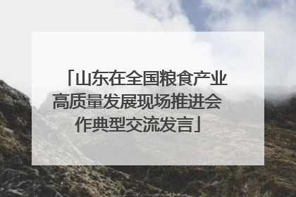 山东在全国粮食产业高质量发展现场推进会作典型交流发言