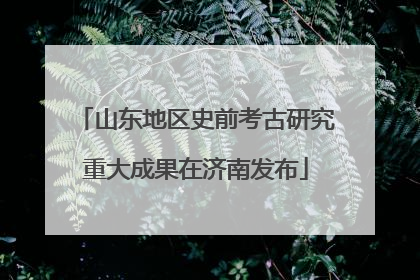 山东地区史前考古研究重大成果在济南发布