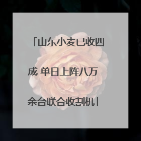 山东小麦已收四成 单日上阵八万余台联合收割机