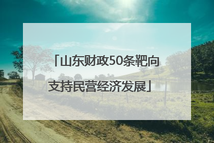 山东财政50条靶向支持民营经济发展