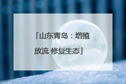 山东青岛：增殖放流 修复生态