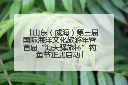 山东（威海）第三届国际海洋文化旅游年暨首届“海天驿旅杯”钓鱼节正式启动