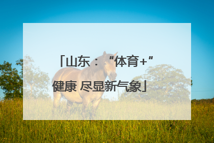 山东：“体育+”健康 尽显新气象