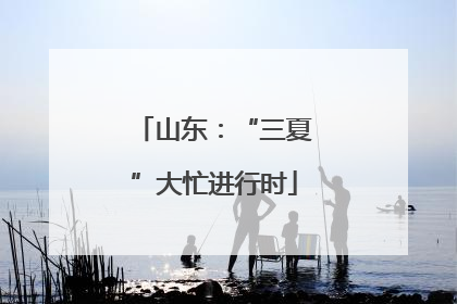 山东：“三夏”大忙进行时