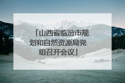 山西省临汾市规划和自然资源局党组召开会议