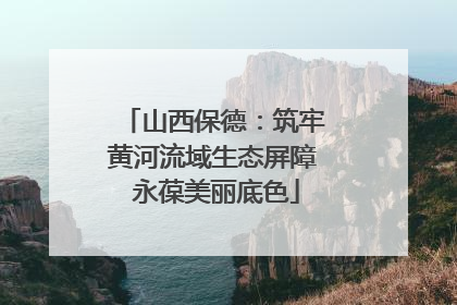 山西保德：筑牢黄河流域生态屏障 永葆美丽底色