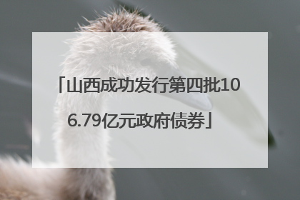 山西成功发行第四批106.79亿元政府债券