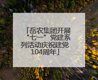岳农集团开展“七一”党建系列活动庆祝建党104周年