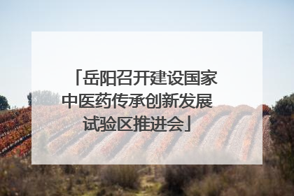 岳阳召开建设国家中医药传承创新发展试验区推进会