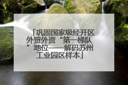 巩固国家级经开区外贸外资“第一梯队”地位——解码苏州工业园区样本