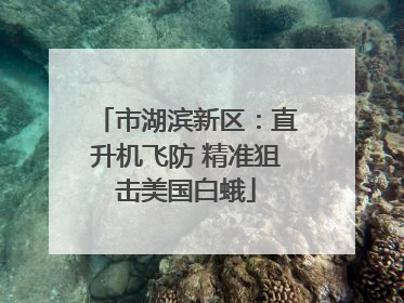 市湖滨新区：直升机飞防 精准狙击美国白蛾
