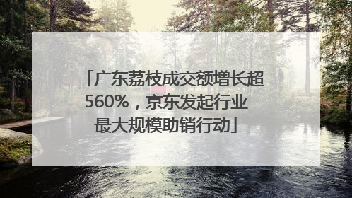 广东荔枝成交额增长超560%，京东发起行业最大规模助销行动