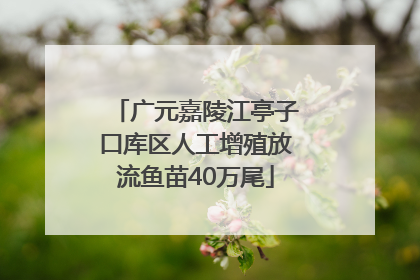 广元嘉陵江亭子口库区人工增殖放流鱼苗40万尾
